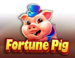 okplay casino